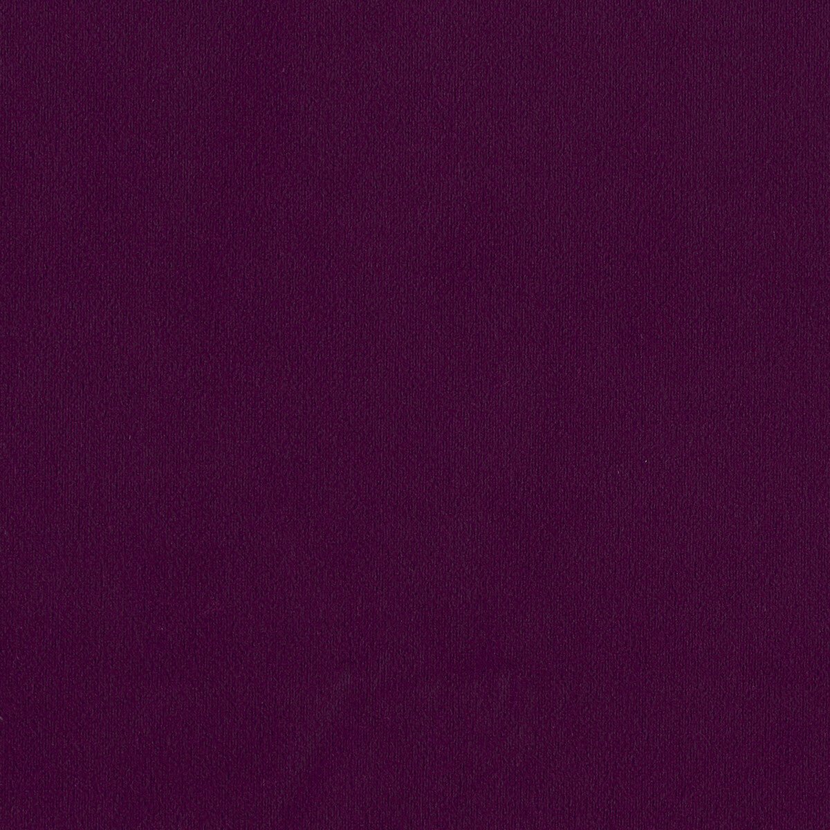 Miami-Plum