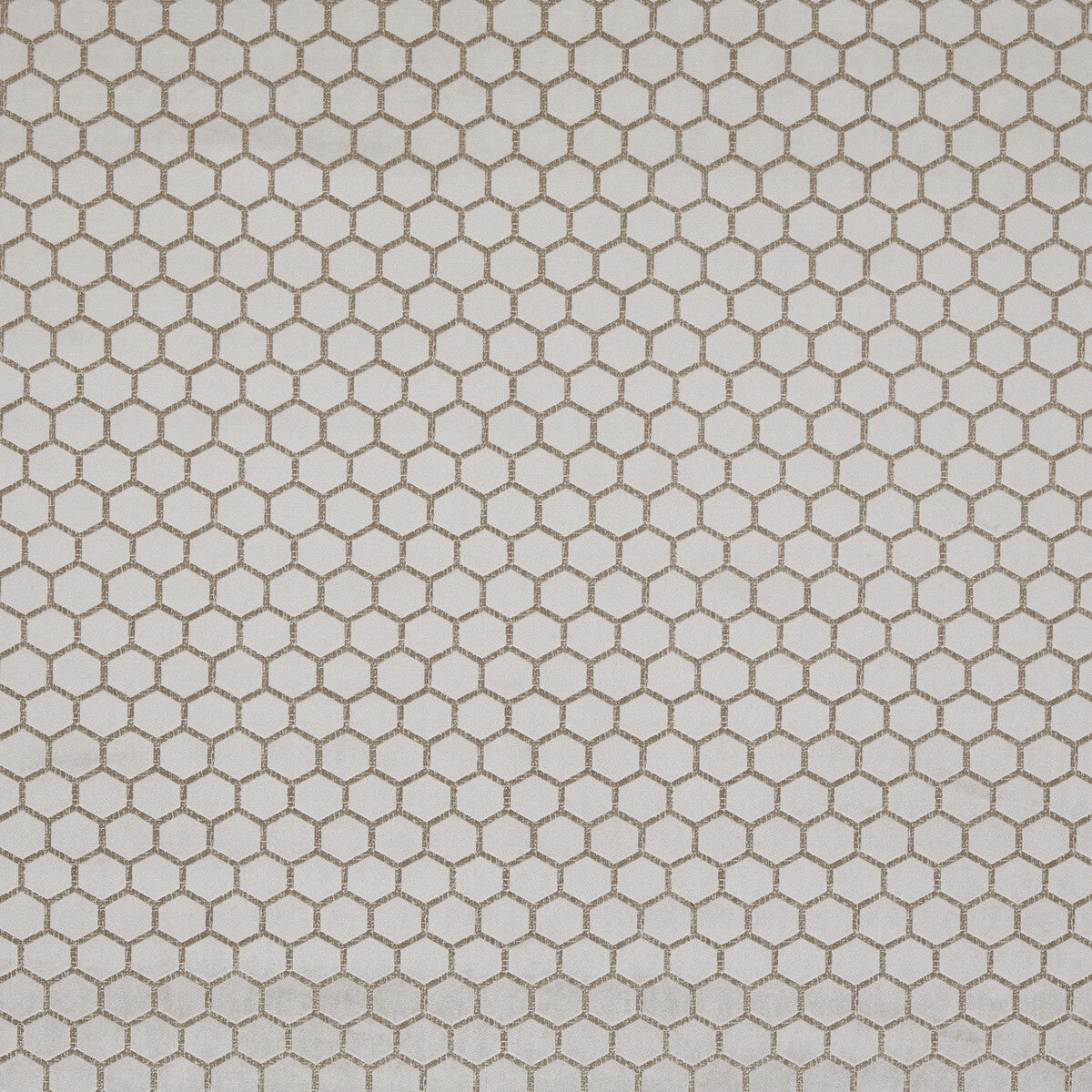Hexa-Taupe