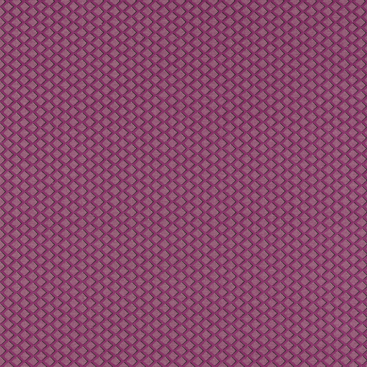 Equator-Raspberry