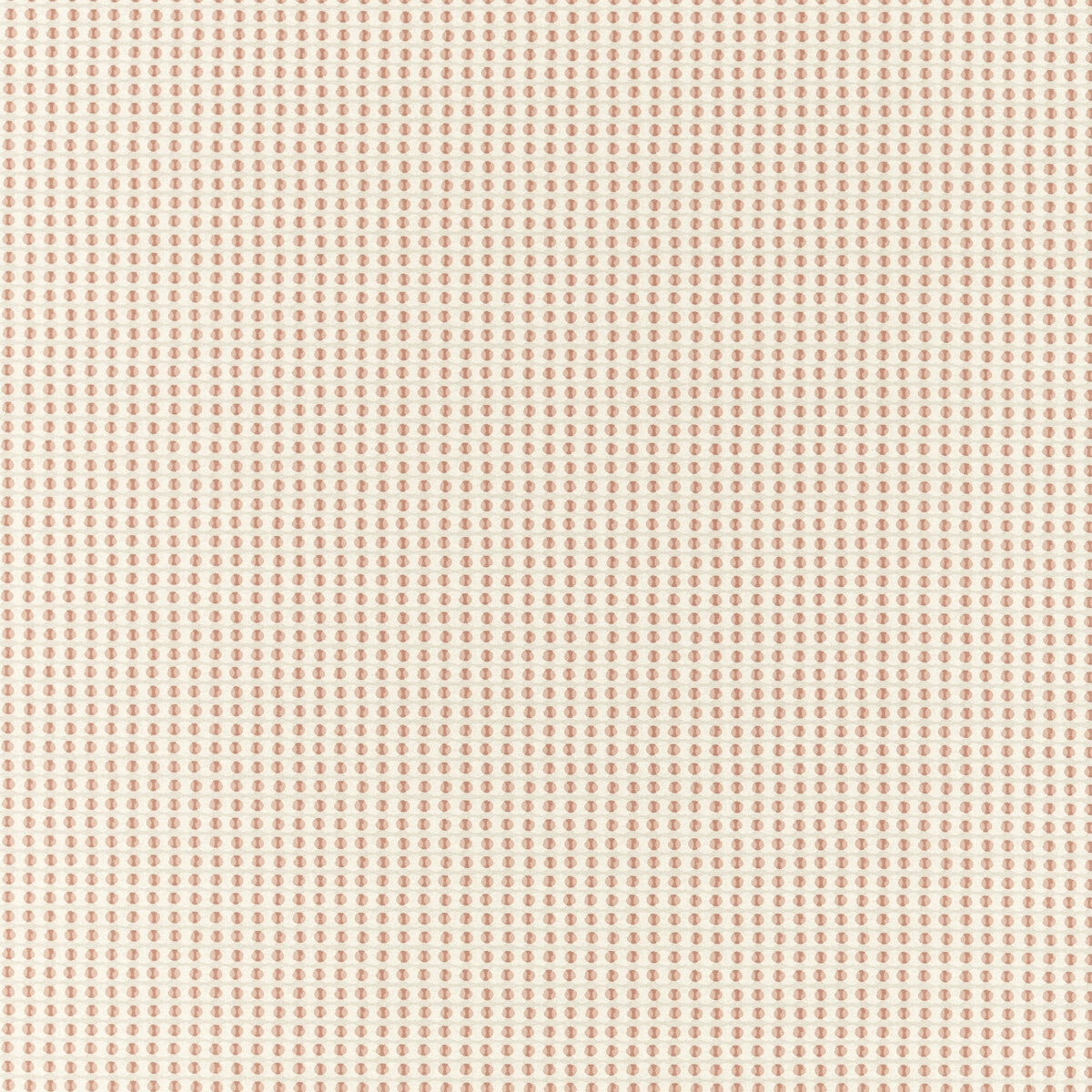 Olympia-Blush