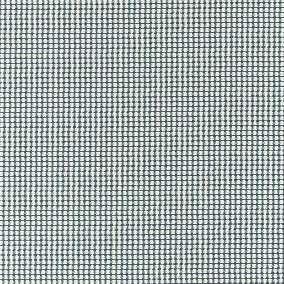 Olympia-Navy