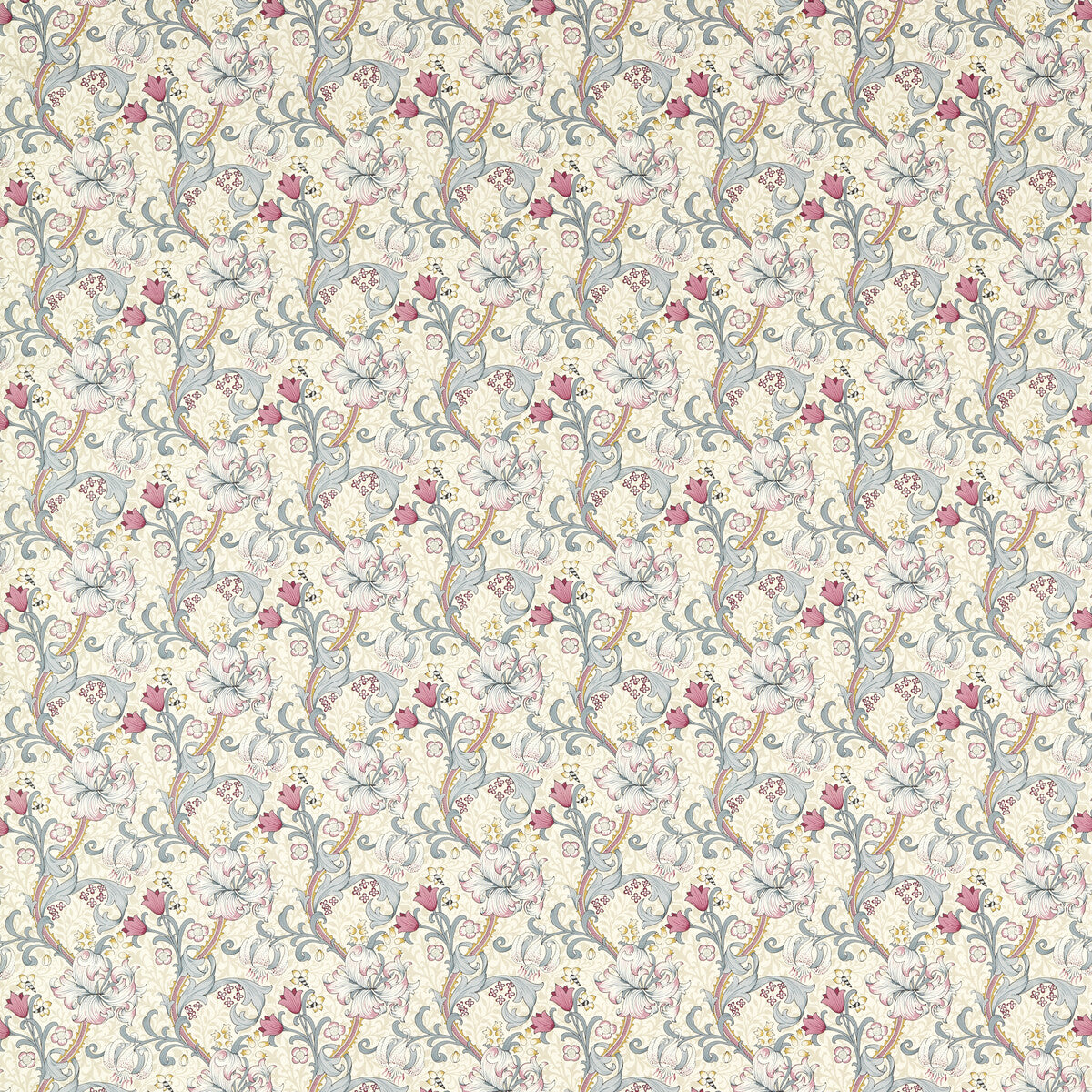 Golden Lily-Dove/Plum