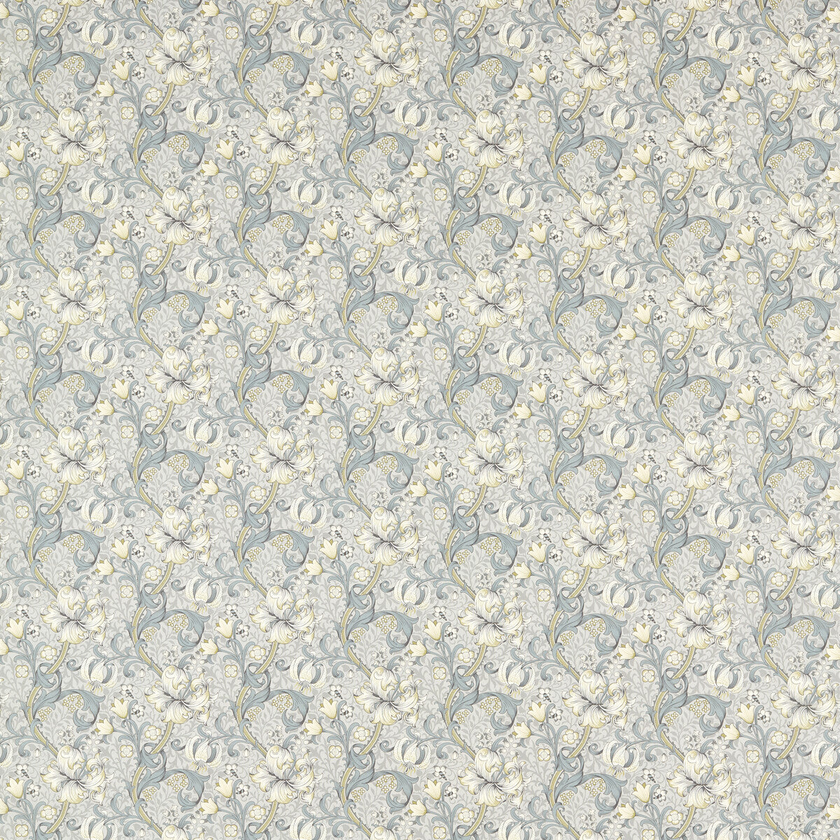 Golden Lily-Slate/Dove