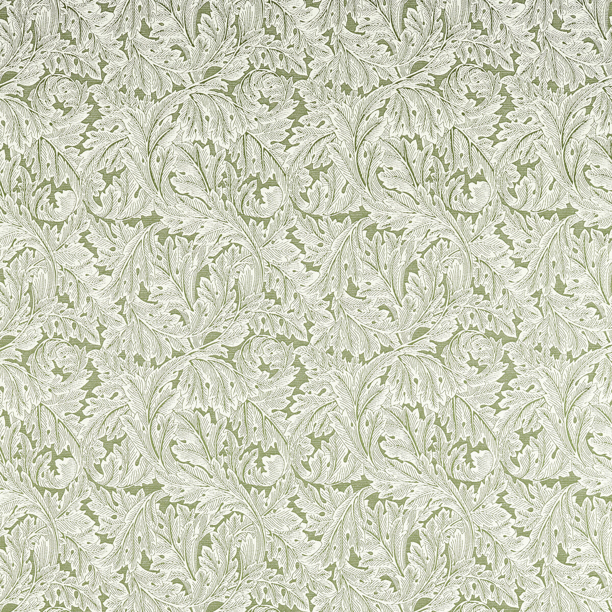Acanthus Weave-Sage