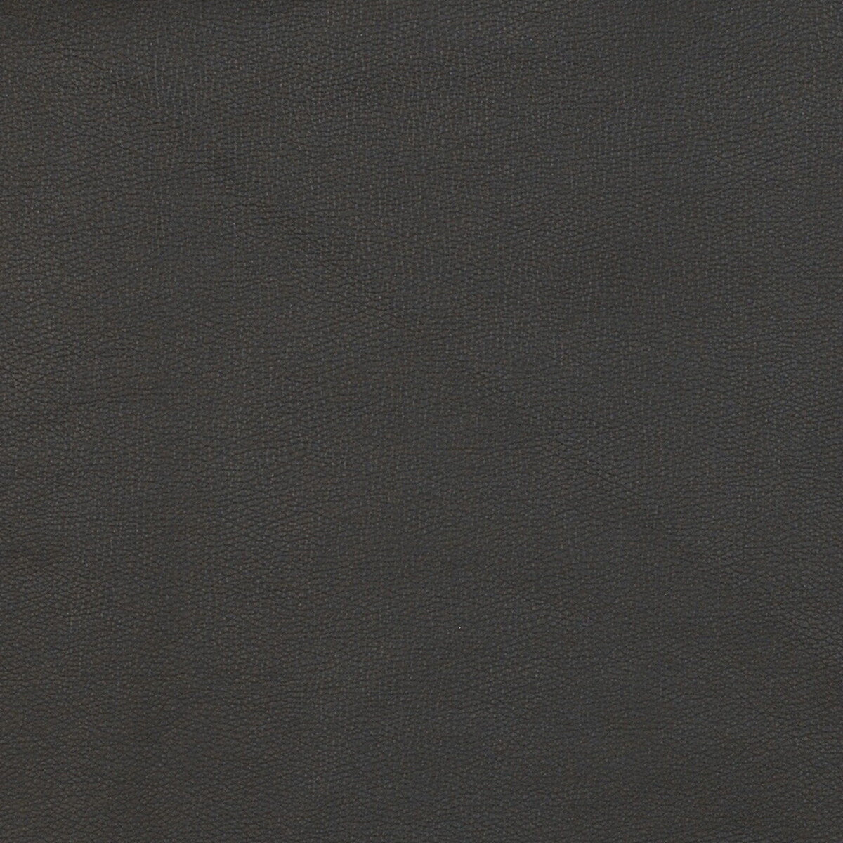 Kravet Design-Fawn-8