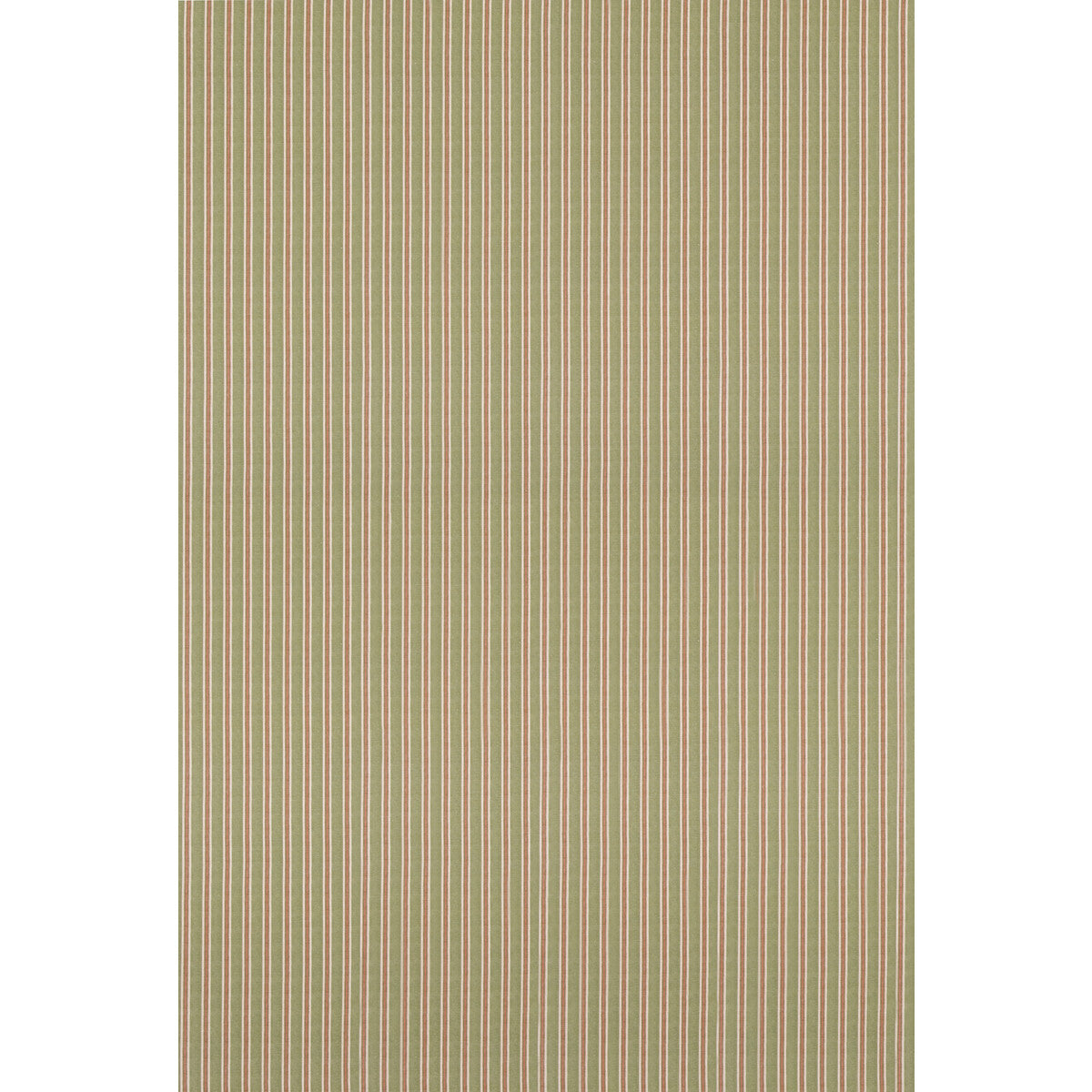 Somerton Stripe-Green