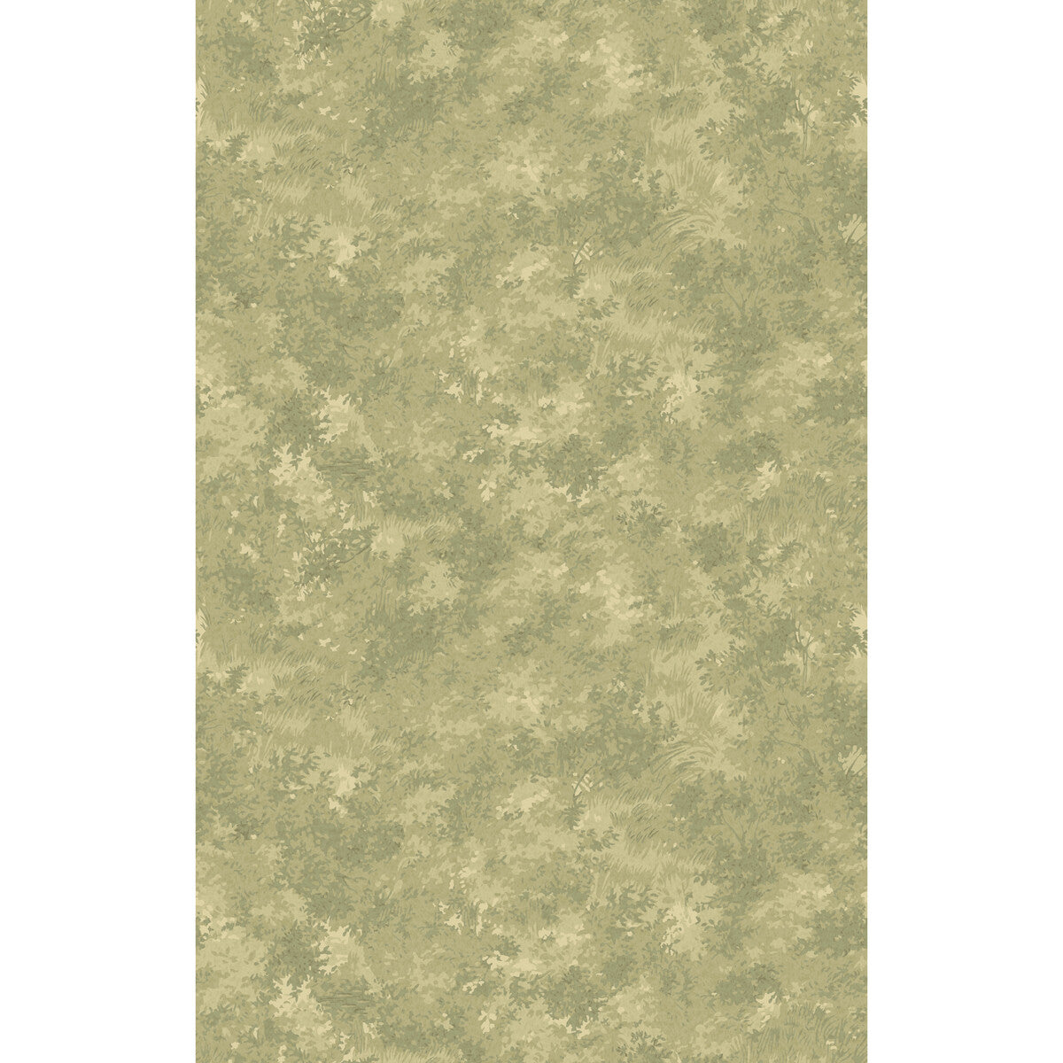 Mulberry Forest-Misty Morning