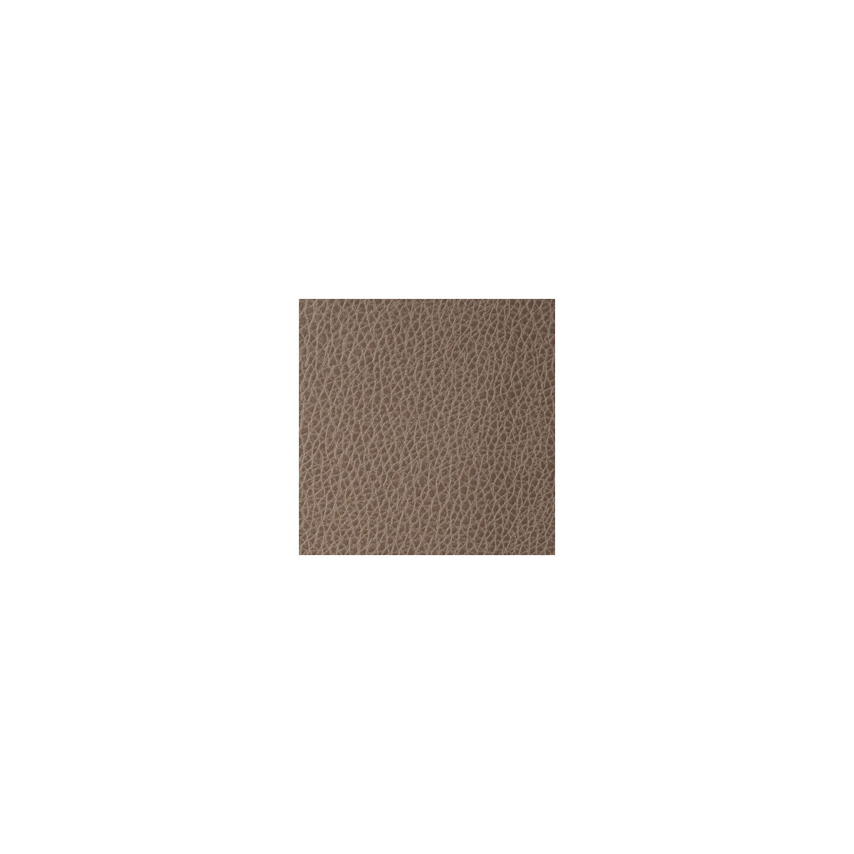 Foothill-Bark