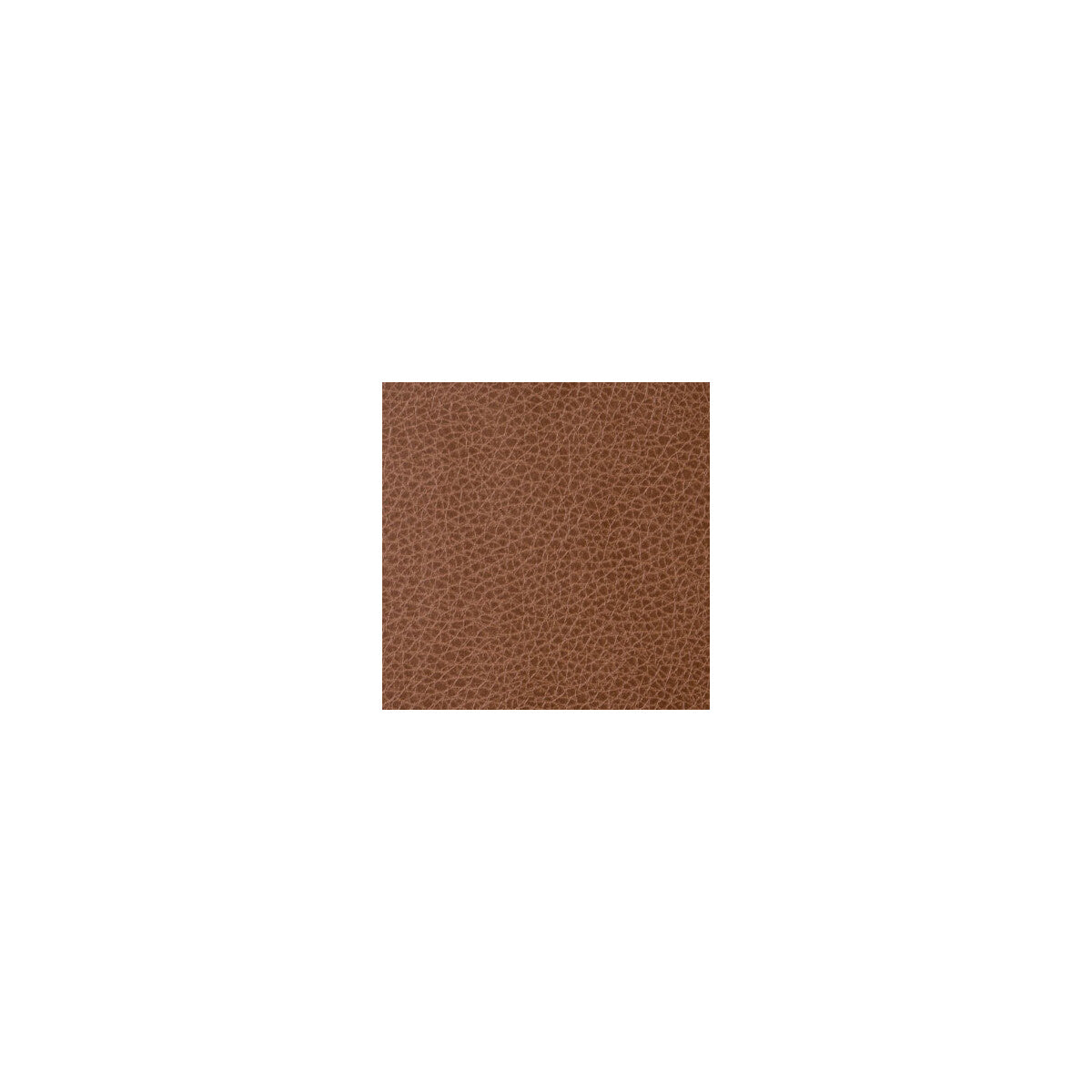 Foothill-Cacao