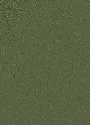 Kravet Design-Fortune-30