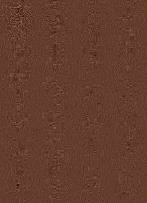 Kravet Design-Fortune-6