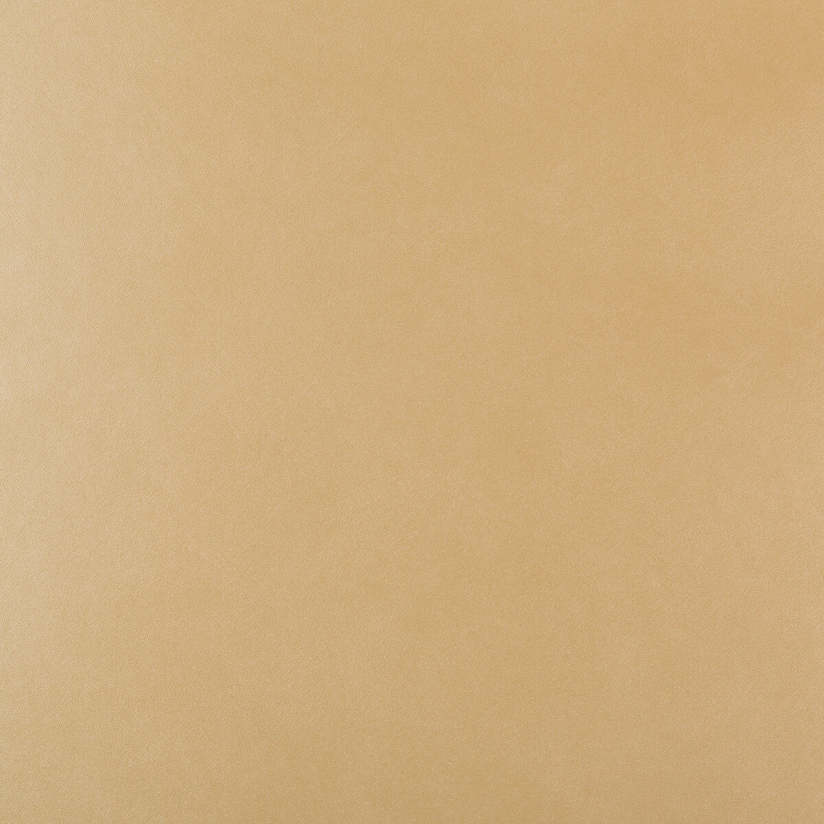 Kravet Design-Frankel-16
