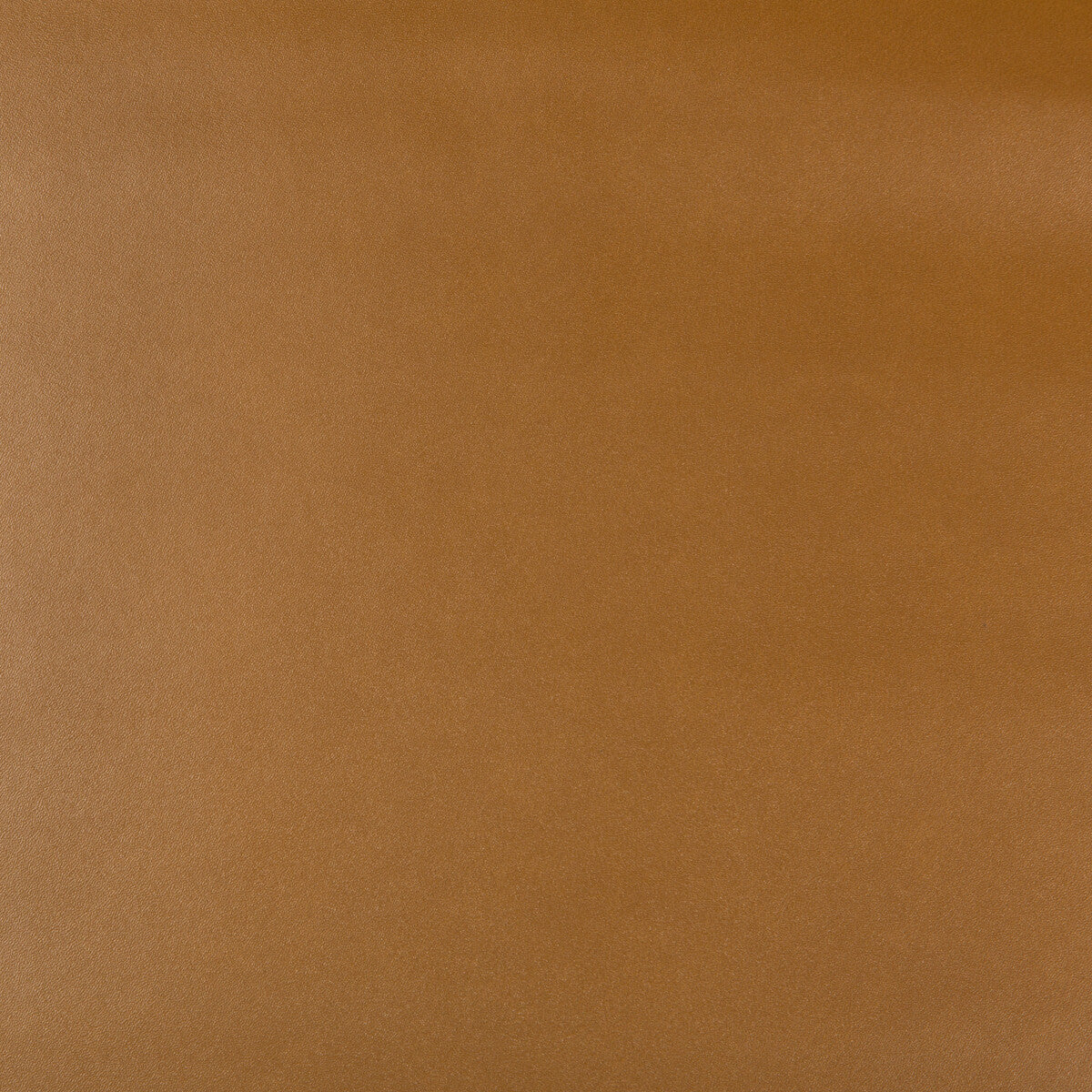 Kravet Design-Frankel-624