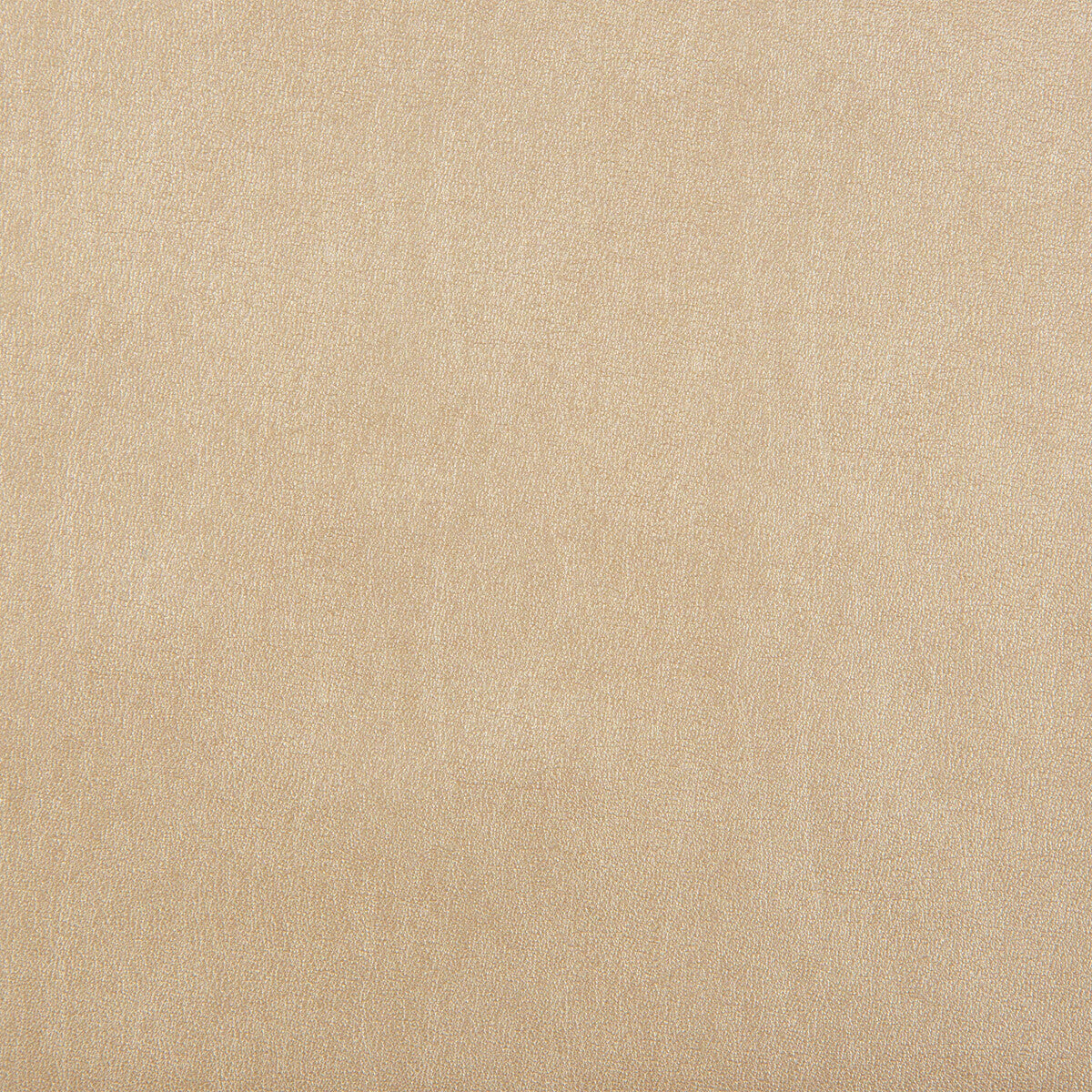 Kravet Design-Futuro-11