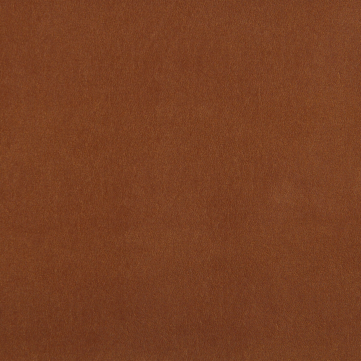 Kravet Design-Futuro-124