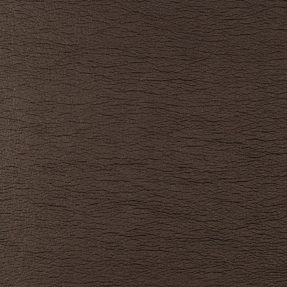 Kravet Design-Galleon-6