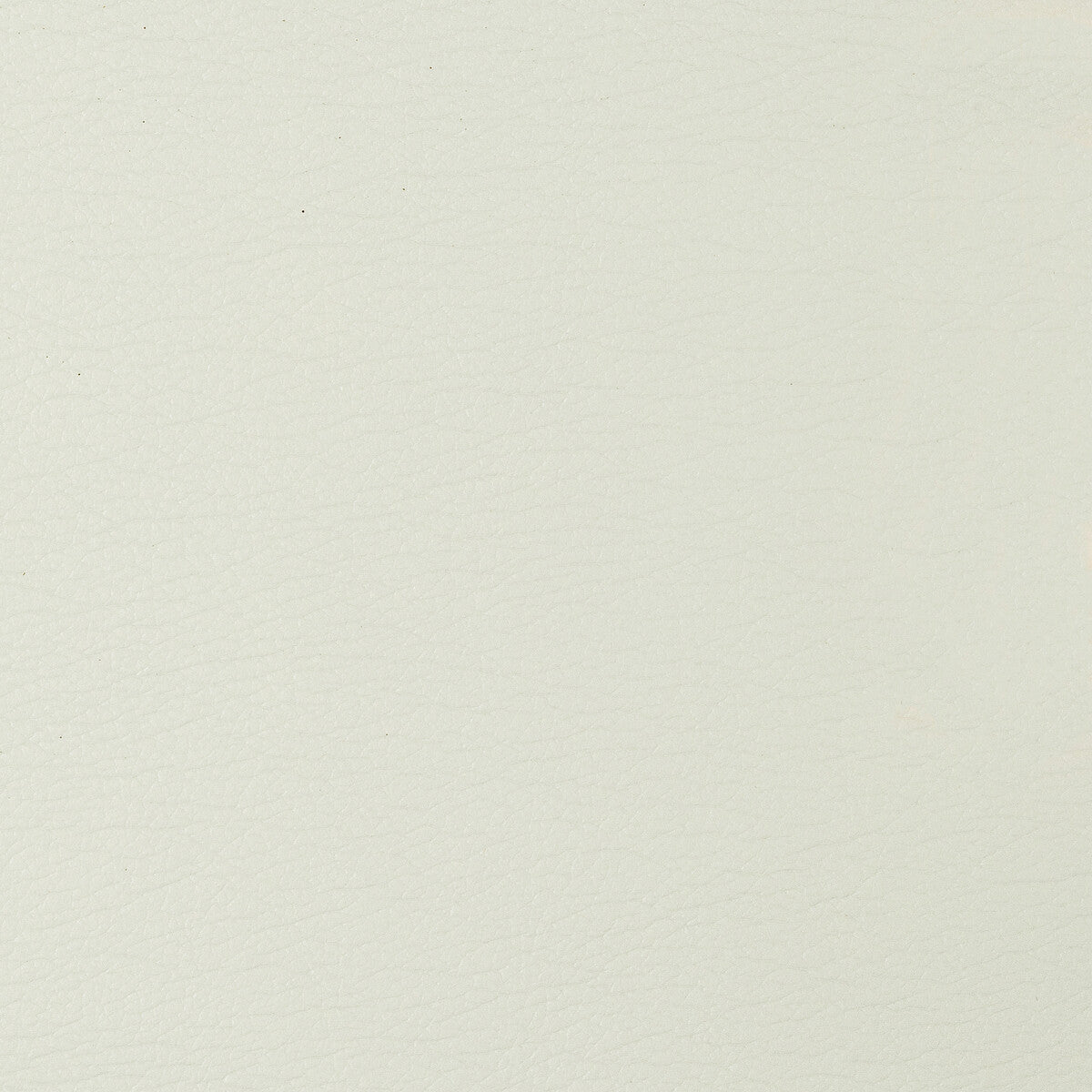 Kravet Design-Gato-101