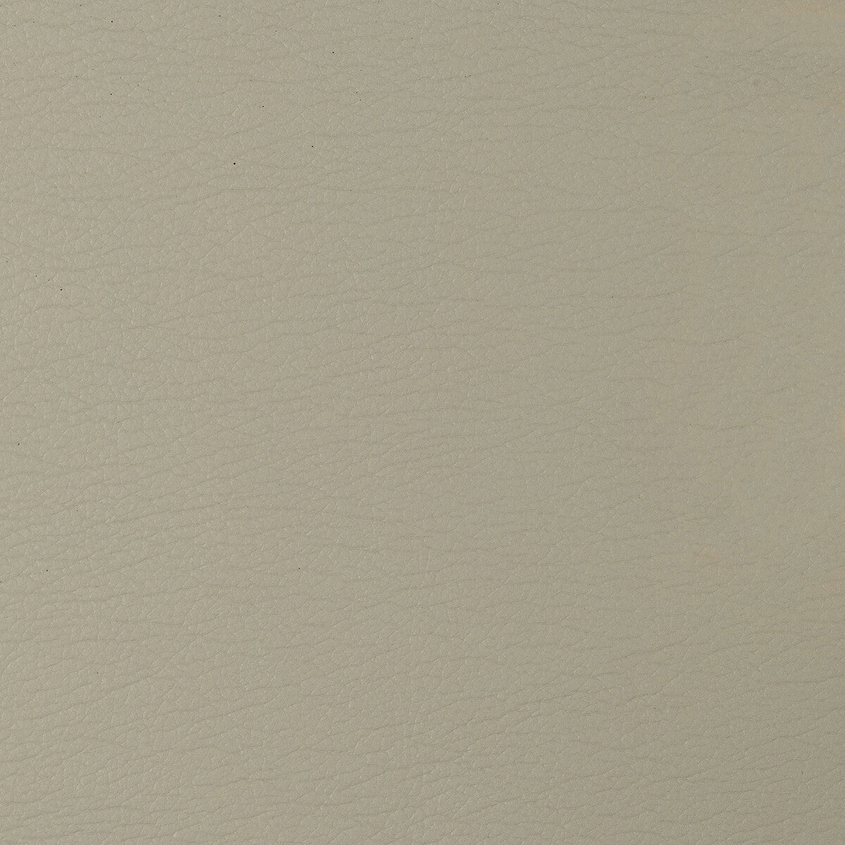 Kravet Design-Gato-106