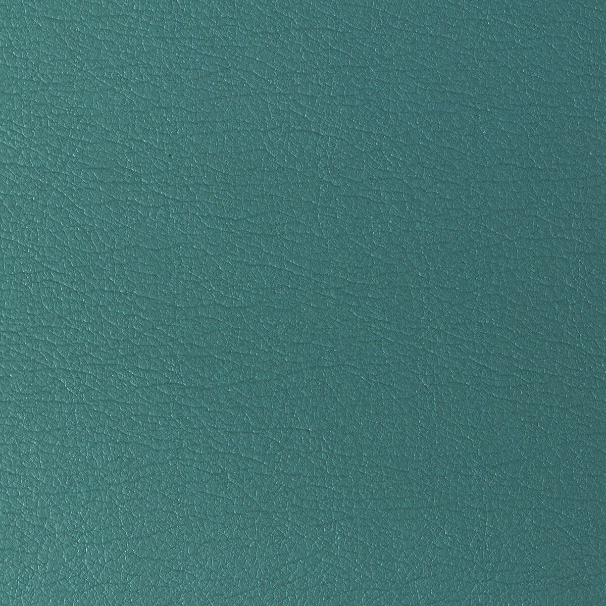 Kravet Design-Gato-113