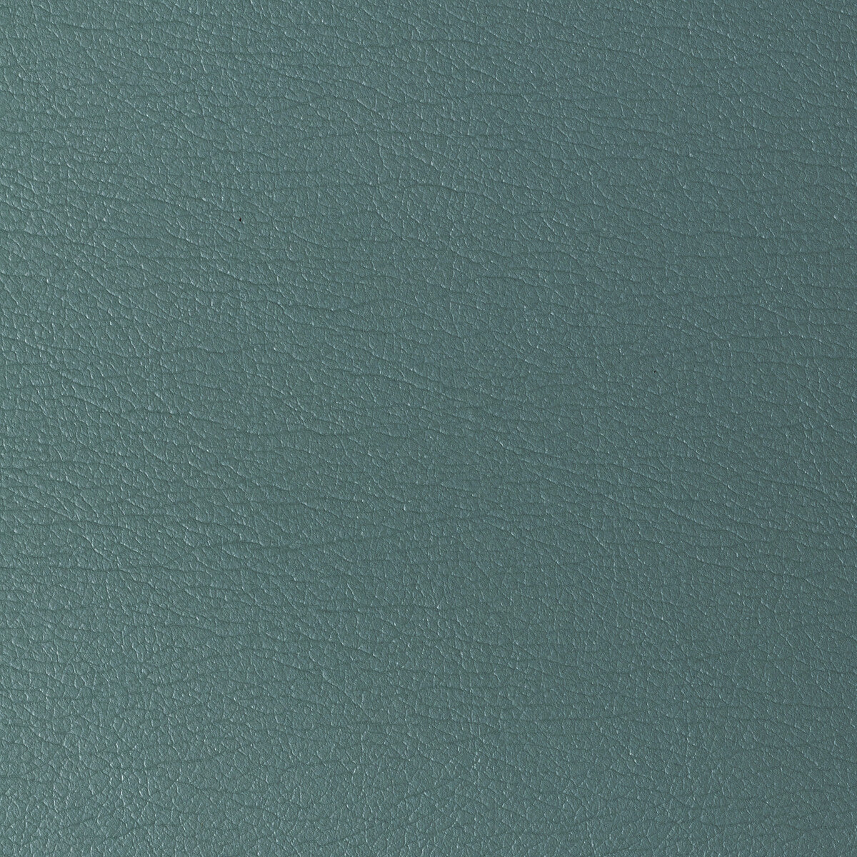 Kravet Design-Gato-115