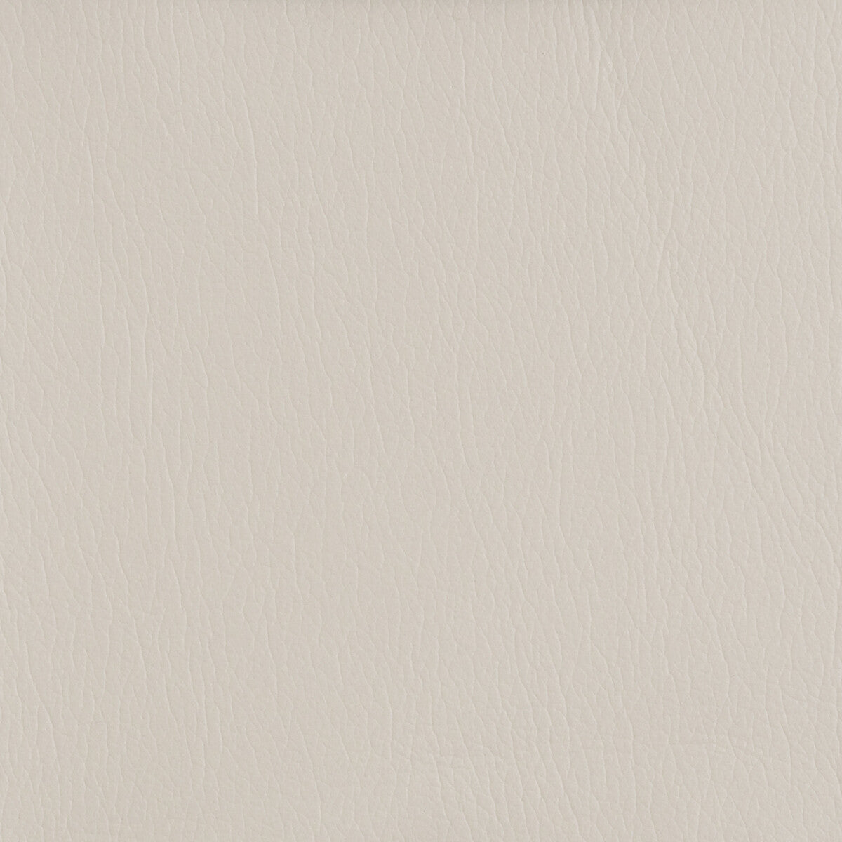 Kravet Design-Gato-116