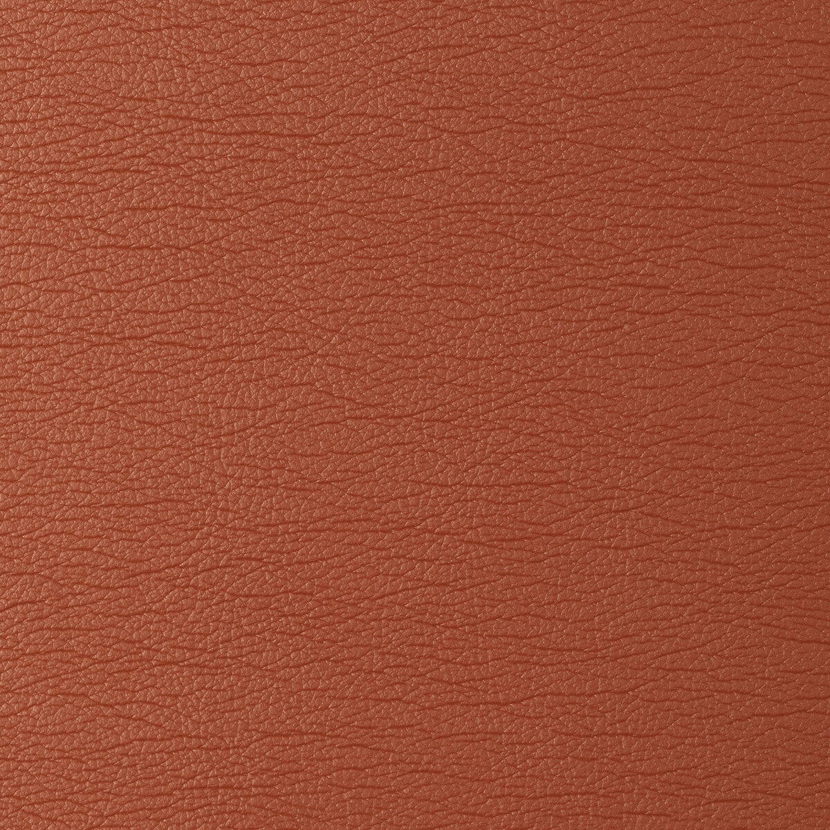 Kravet Design-Gato-12