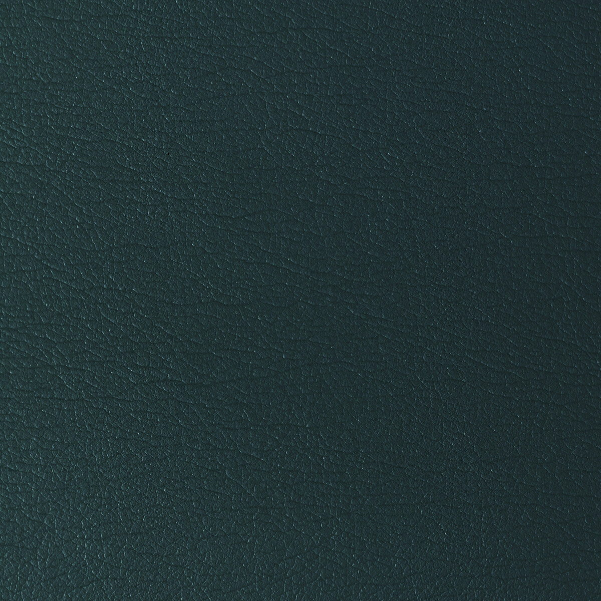 Kravet Design-Gato-135