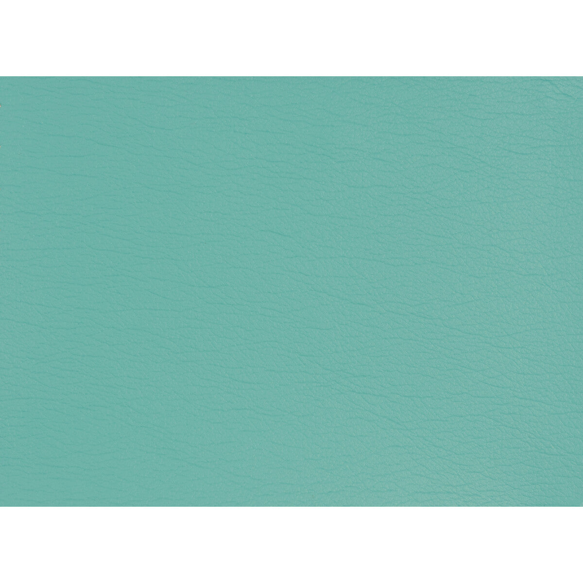 Kravet Design-Gato-13