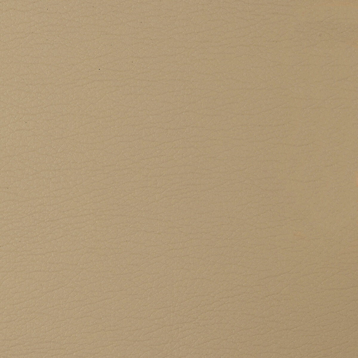 Kravet Design-Gato-1416