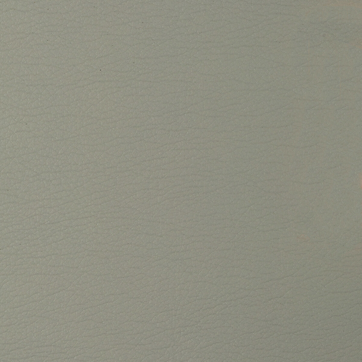 Kravet Design-Gato-1611