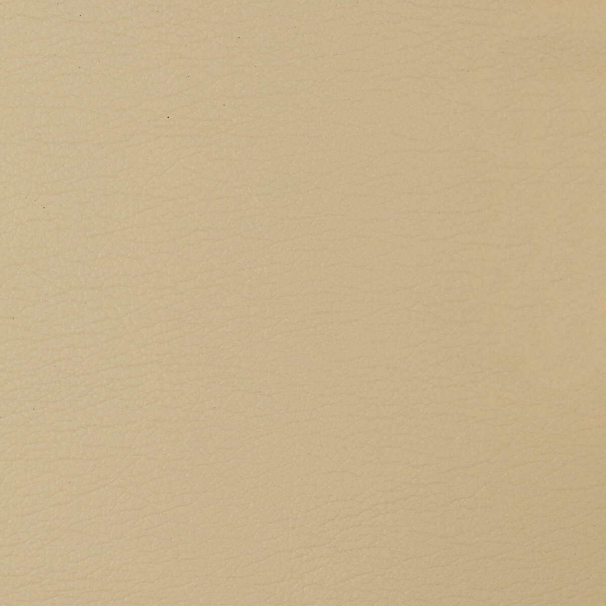 Kravet Design-Gato-1616