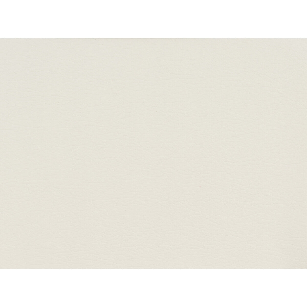 Kravet Design-Gato-1