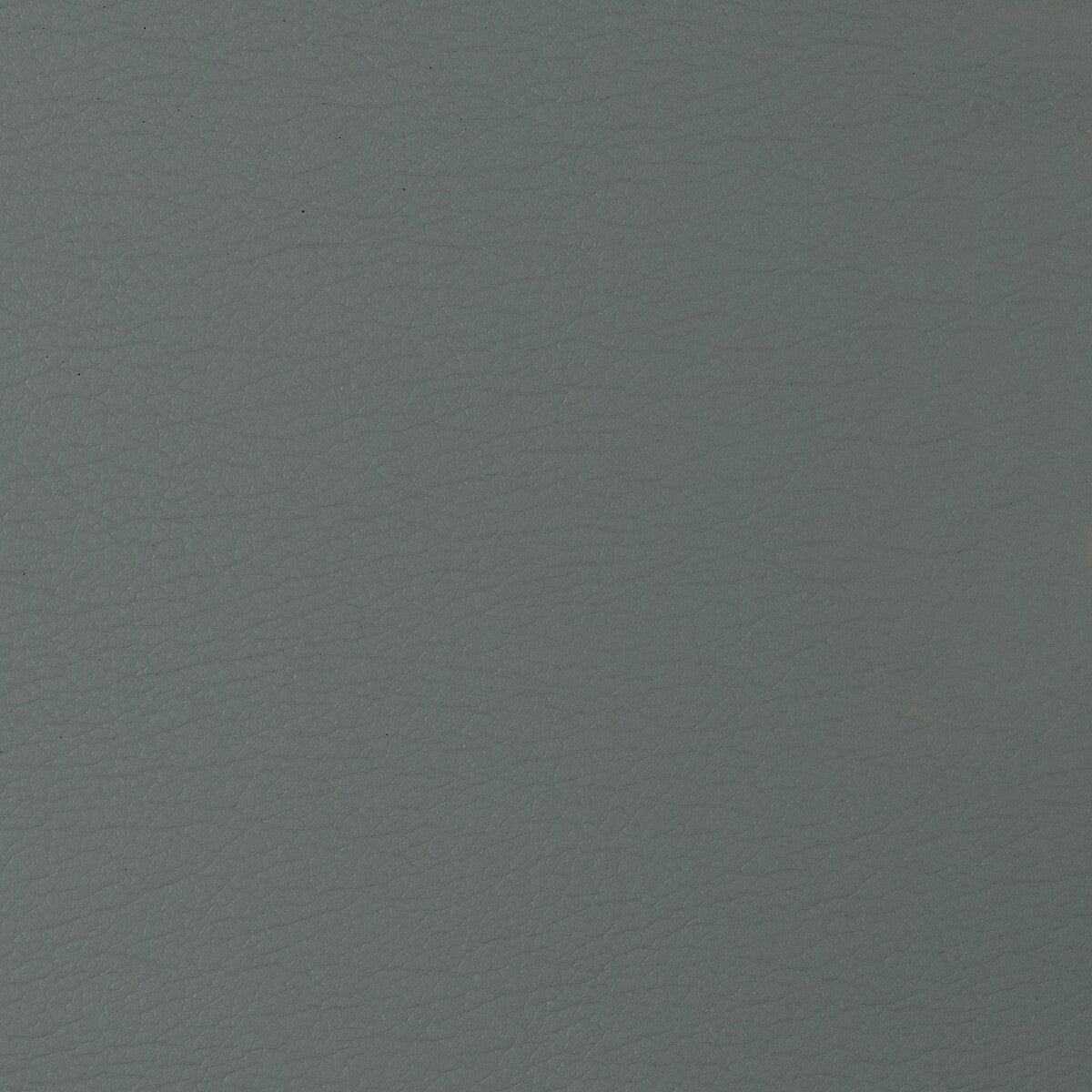 Kravet Design-Gato-2111