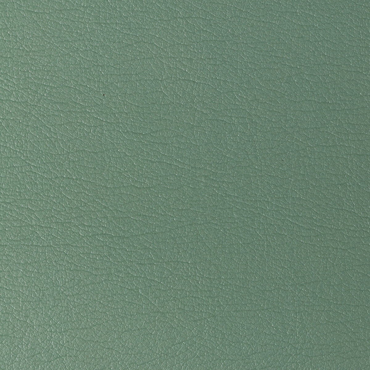 Kravet Design-Gato-323