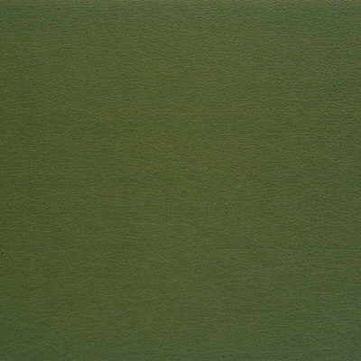 Kravet Design-Gato-35