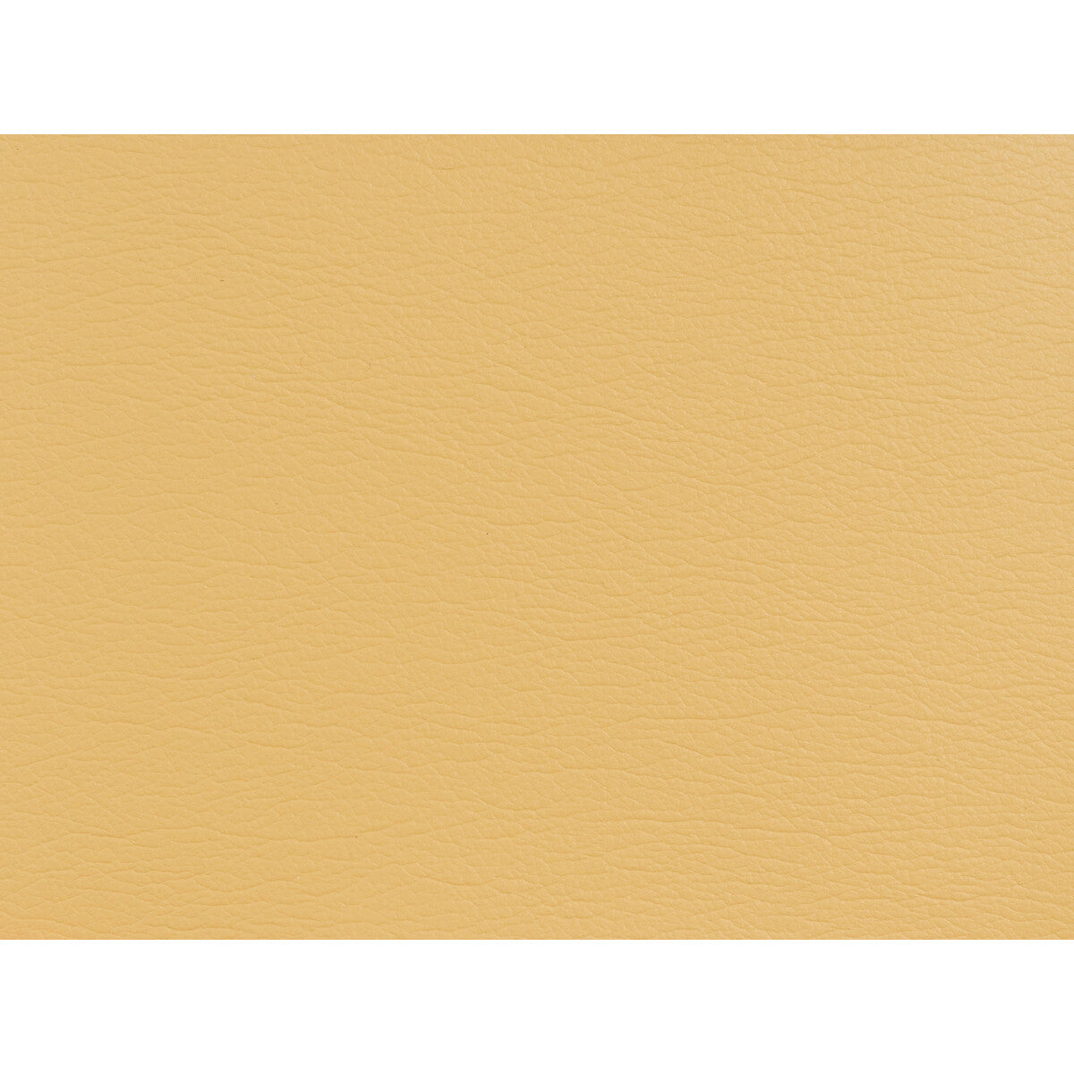 Kravet Design-Gato-404