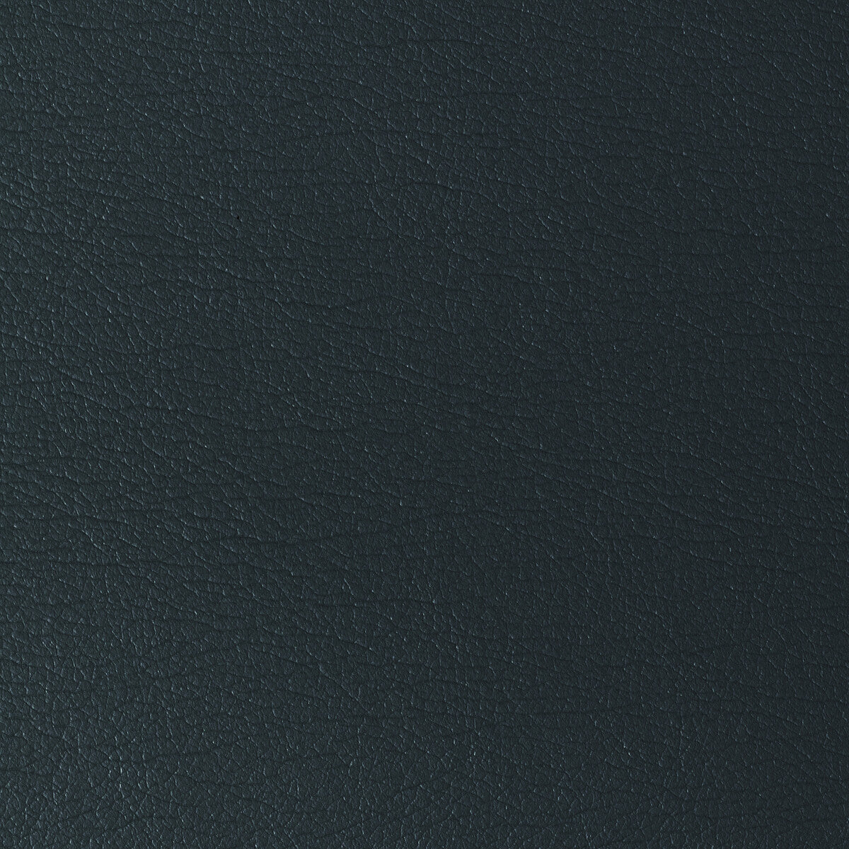 Kravet Design-Gato-515