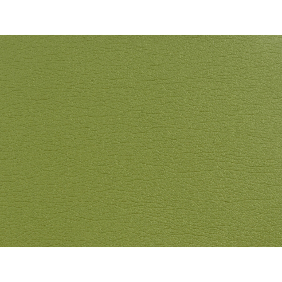 Kravet Design-Gato-5353