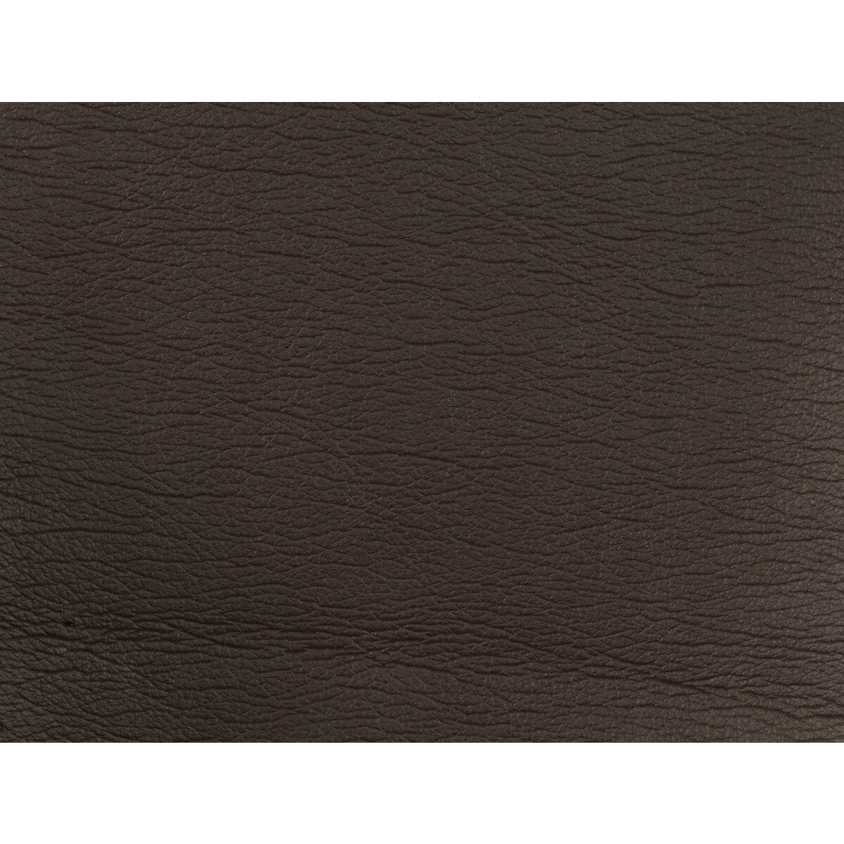 Kravet Design-Gato-6666