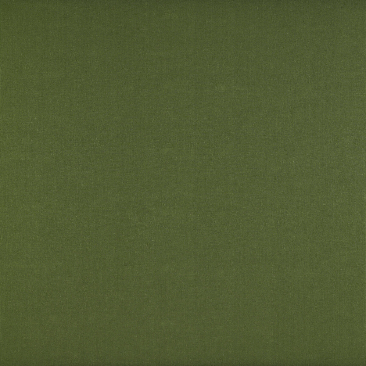 Recoletos-Verde