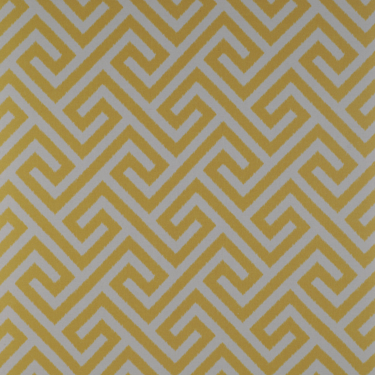 Trevi-Amarillo