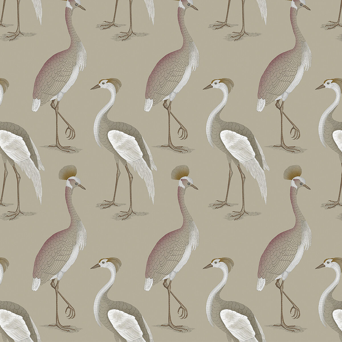Garza Real-Fondo Lino
