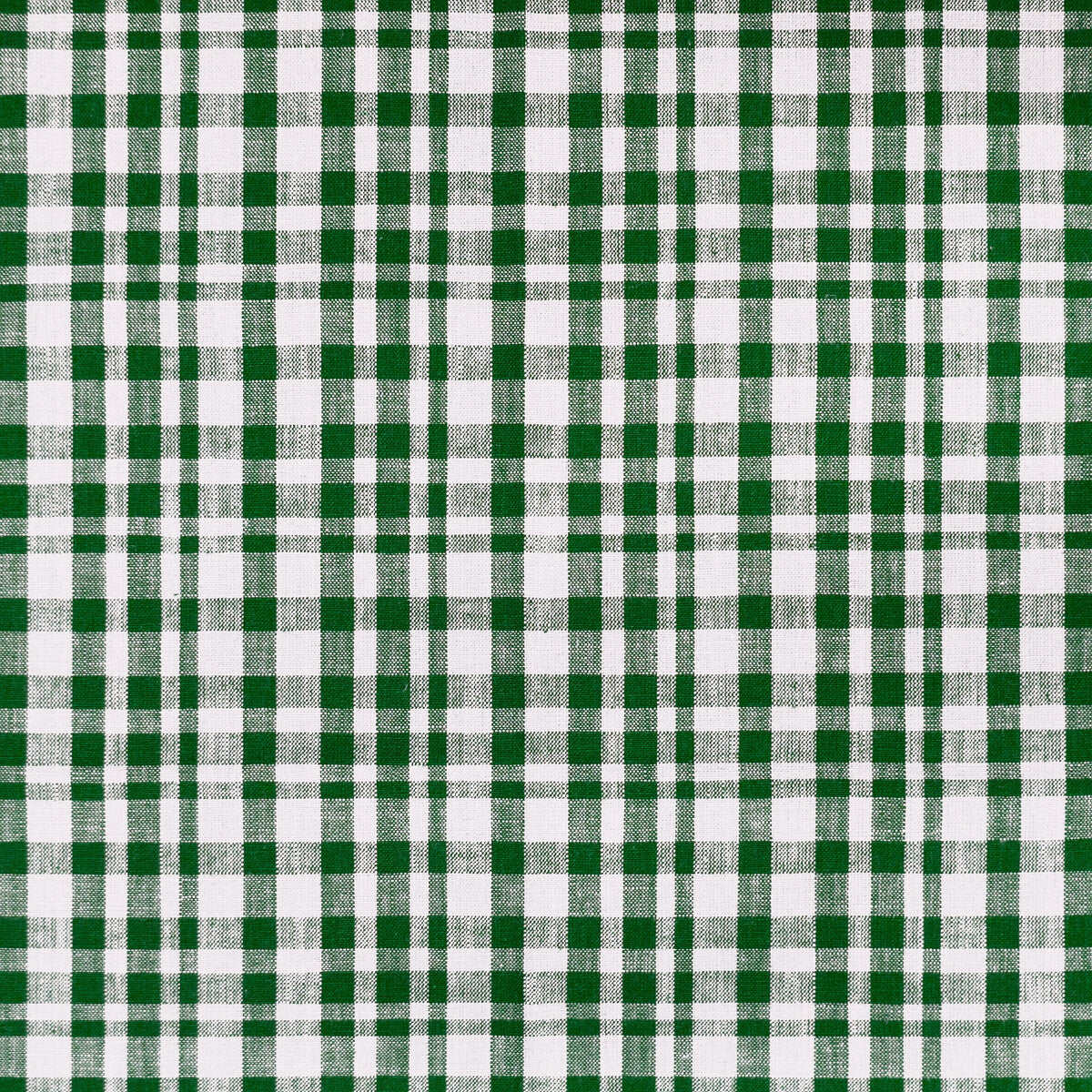 Drach-Blanco/Verde Oscuro