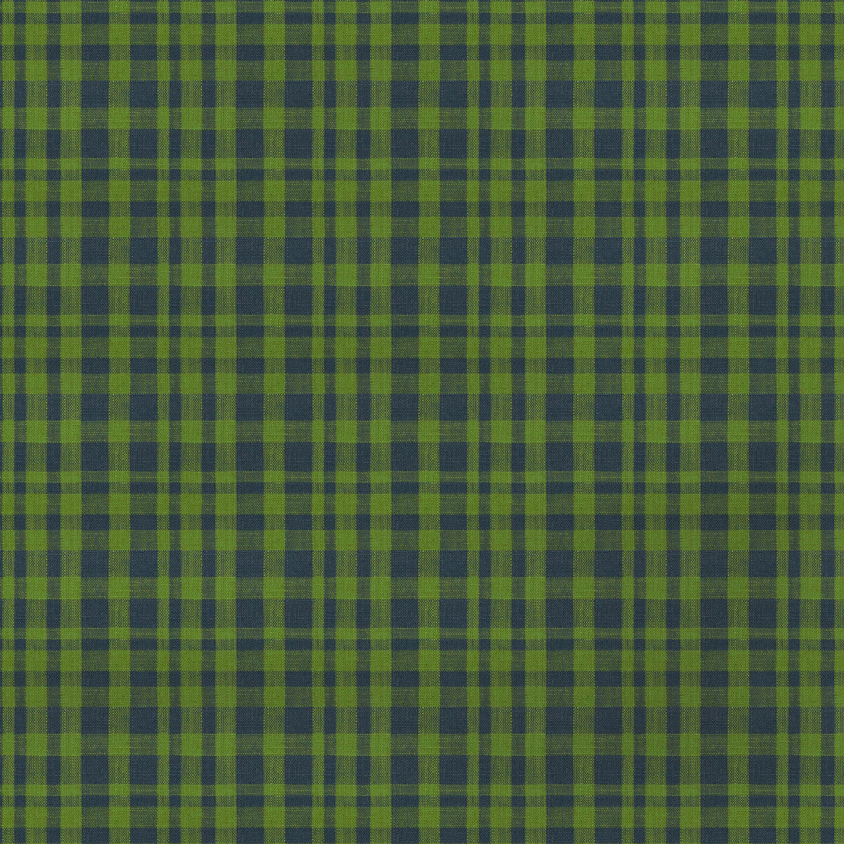 Drach-Verde/Azul