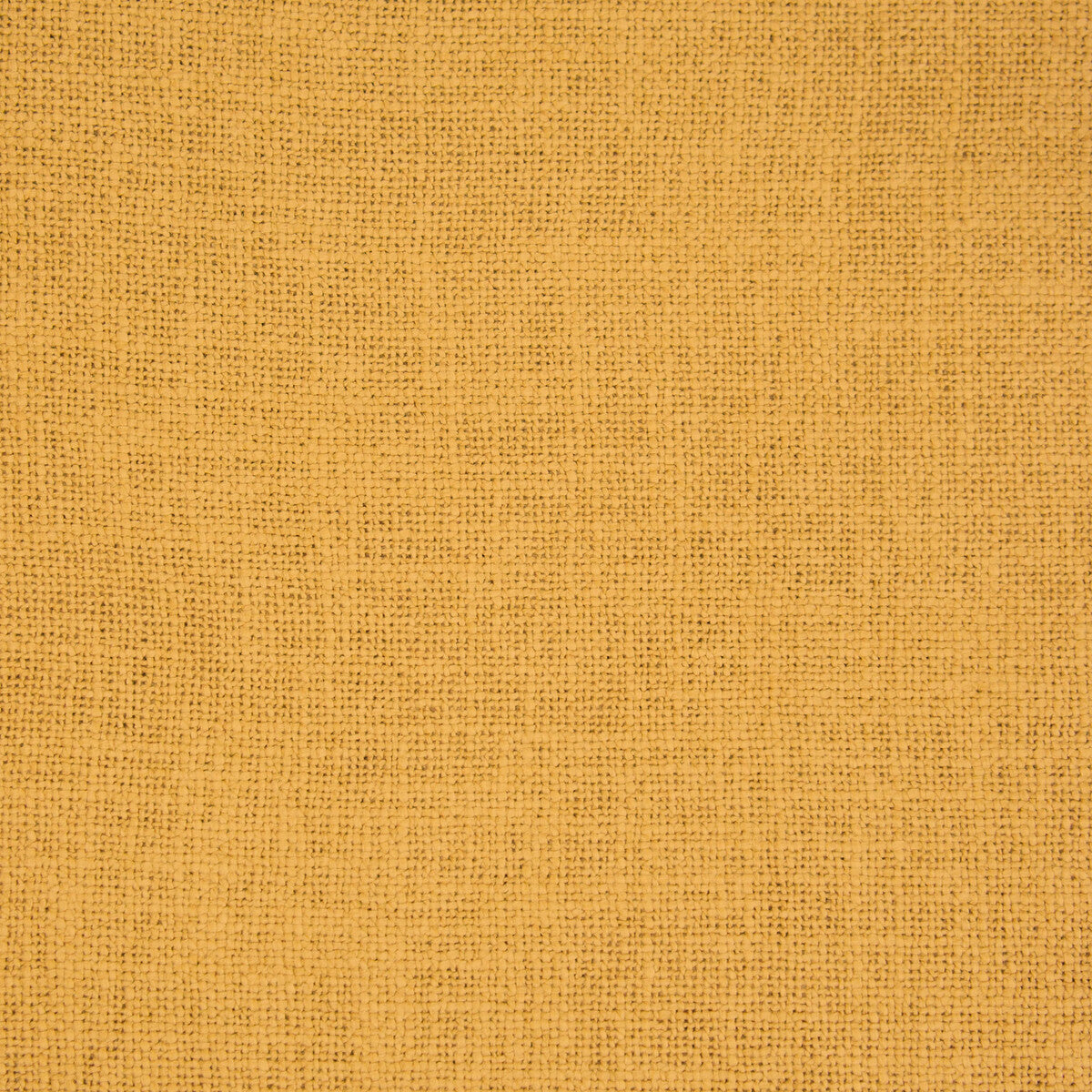 Bellver-Ocre