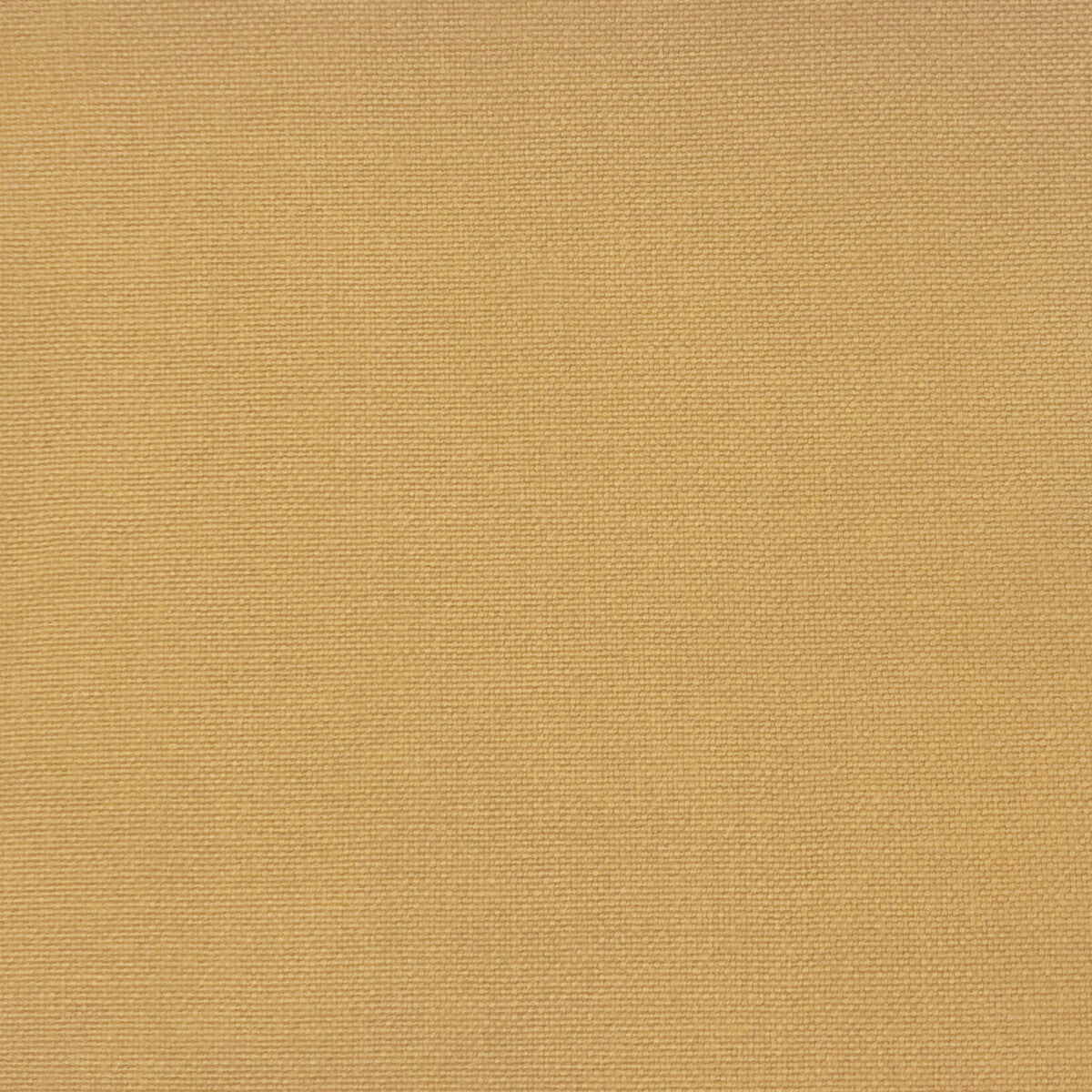 Palma-Ocre