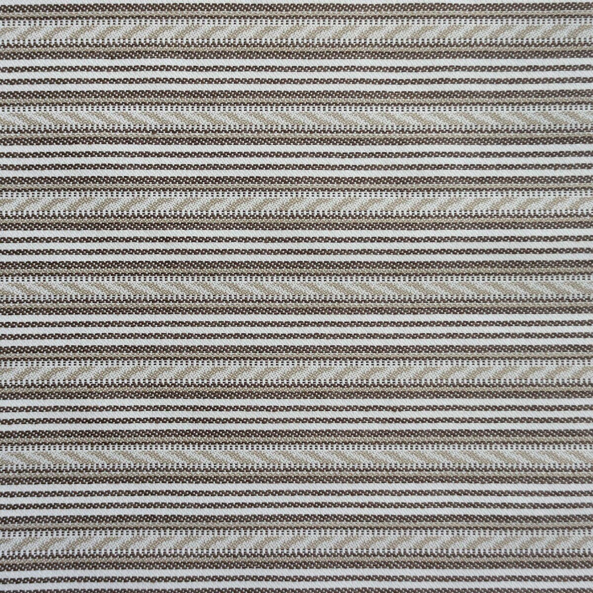 Dolma-Beige/Chocolate