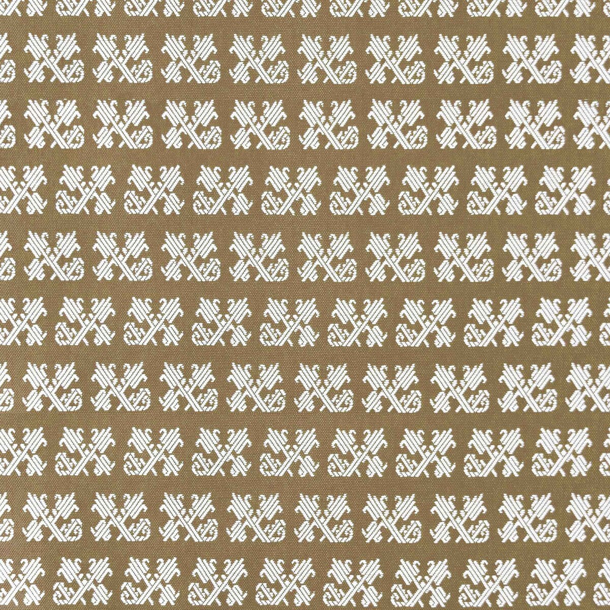 Tulip-Tostado