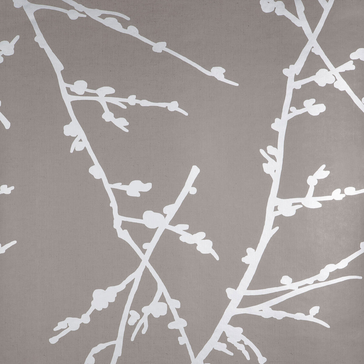 Almendros-Topo