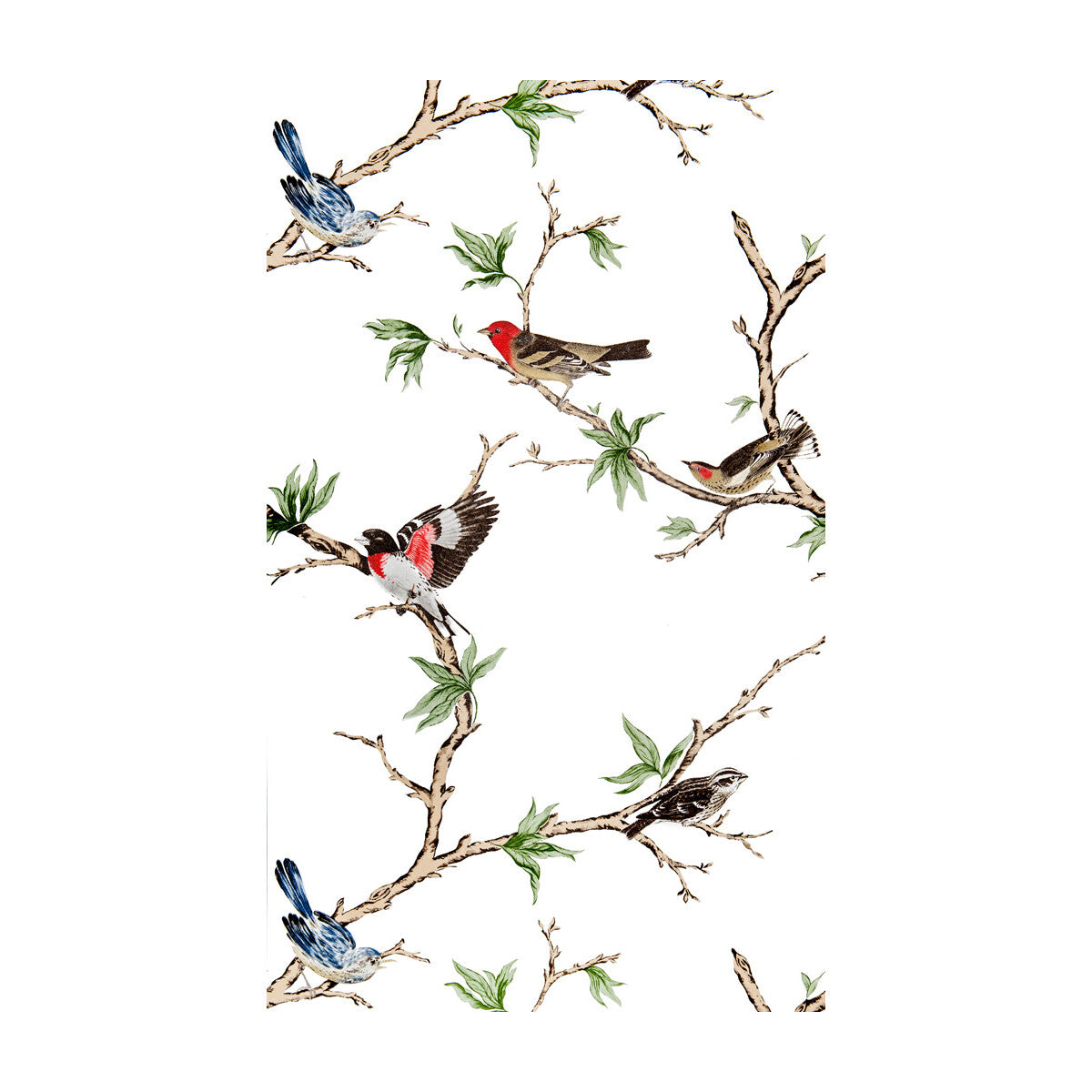 Villa Fiori-Blanco/Negro